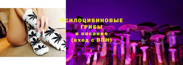 Альфа ПВП Аркадак