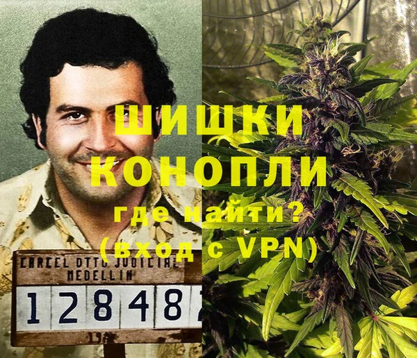 PSILOCYBIN Армянск
