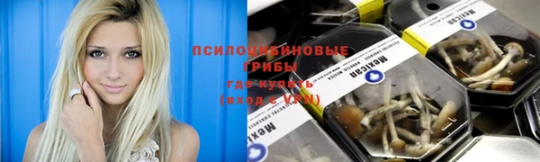 Альфа ПВП Аркадак