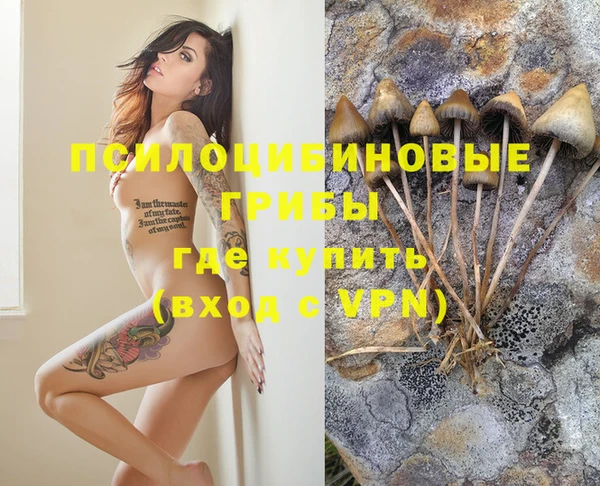 Альфа ПВП Аркадак