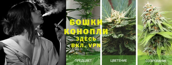 Альфа ПВП Аркадак
