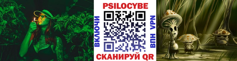 где купить наркоту  Заречный  Галлюциногенные грибы ЛСД 