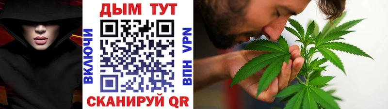 Каннабис сатива Заречный